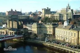 纽卡斯尔伤停最新消息今天